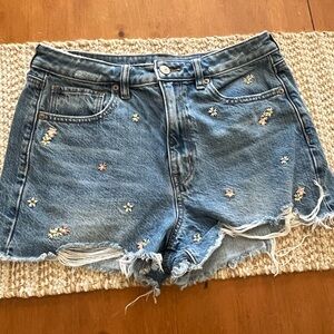 American Eagle Outfitters denim embroidered shorts